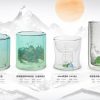 Colourful double wall glass