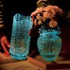 Glass Vase Collection