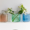 Glass Vase Collection